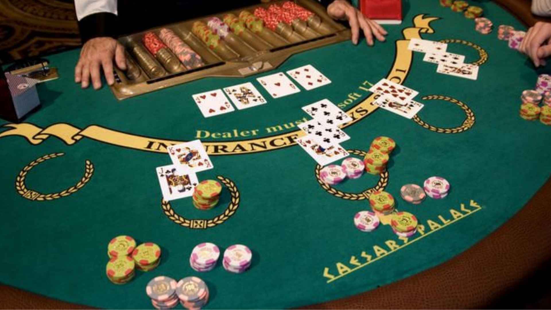 Live Casino Platforms Built Around Real-Time Action